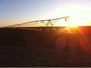 Property photo 4 - IRRIGATED LAND AUCTION - 12,160+/- ACRES OFFERED IN 12 TRACTS IN HARTLEY & MOORE COUNTY, TEXAS